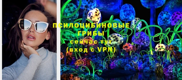 прущие крисы Арсеньев