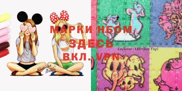 эйфоретик Аркадак